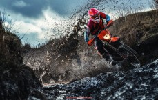 风云直播-世俱杯赛事观众反馈总结，现场体验与服务质量评分